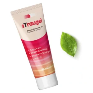 Traugel